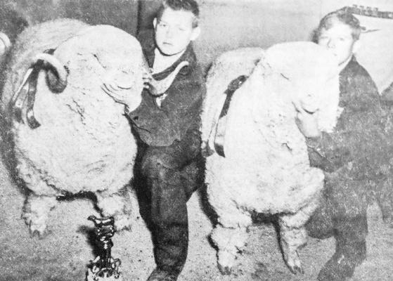 January 1958: CHAMPIONS – Jimmy Dulaney, left, shows his champion rambouillet ram and Billy Lannom exhibits his prize rambouillet ewe. Both Fort Stockton FFA chapter members won grand prizes in the men’s open division of the Iraan stock show and are preparing to compete in El Paso.
