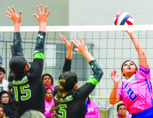 LEFT: Elina Montes (2) hits the ball against Monahans in this Oct. 3 file photo. The Prowlers fell at Andrews on Saturday and Greenwood on Tuesday in key District 3-4A matches. File photo by Julie Myers