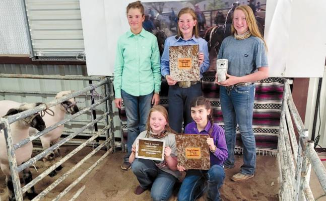Pecos County 4H and FFA members went to the Livestock Jackpot in Fort Davis and had a successful showing at the competition. The following earned awards at the event: Megan Hanson, junior showmanship winner in cattle; Madison Hanson, first place Heifer and reserved overall champion; Carla Vazquez, reserved champion WOPB and BLOPB junior swine showmanship champion; Rylee McDaniel, reserve champion Duroc pig and senior swine showmanship champion; Mesa McDaniel, reserve champion Hampshire plus several top show