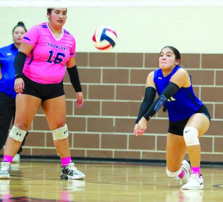 Kriselda Porras gets a dig during Friday’s District 3-4A tiebreaker against Andrews in Wink. Pioneer Photo by Shawn Yorks