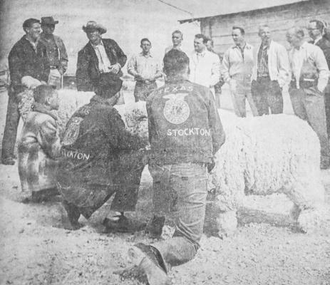 February 1960: INSPECTION – Members of the Fort Stockton Jaycees inspected facilities at the Fort Stockton High School FFA barn following a recent luncheon meeting. Four chapter members show off some of their prize sheep as the Jaycees look on. Among the sheep was the champion of the recent stock show.