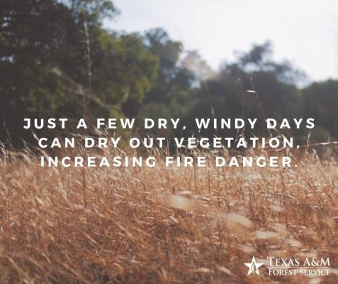 Wildfire prevention