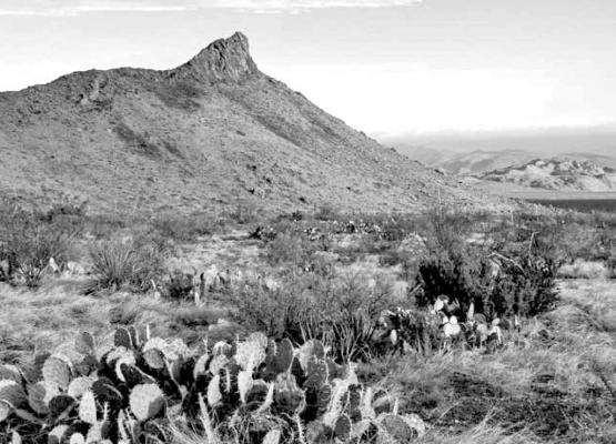 Lone Mountain in Big Bend National Park. Courtesy photo