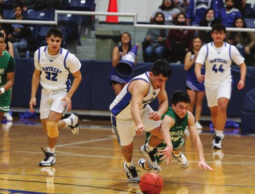 Buzzer beater downs Panthers