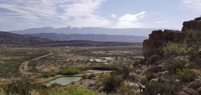 The proposed expansion of Big Bend National Park focuses on the Terlingua Creek watershed, an ecologically significant area that supports diverse wildlife and unique desert landscapes. Photo by Joh Covington