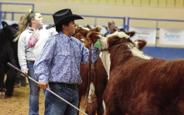 West of the Pecos Blowout Stock Show
