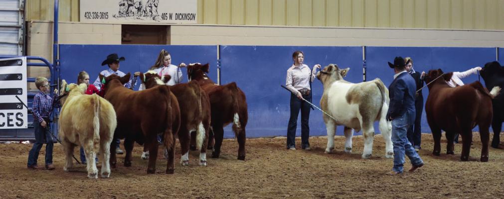 West of the Pecos Blowout Stock Show