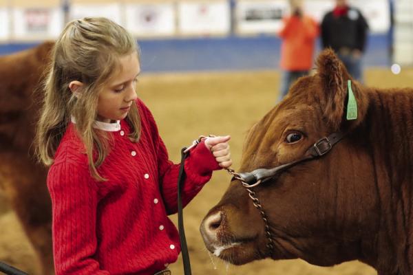 West of the Pecos Blowout Stock Show