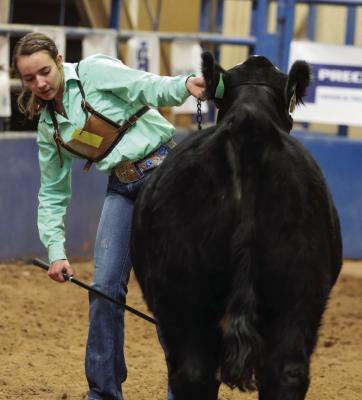 West of the Pecos Blowout Stock Show