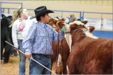 West of the Pecos Blowout Stock Show