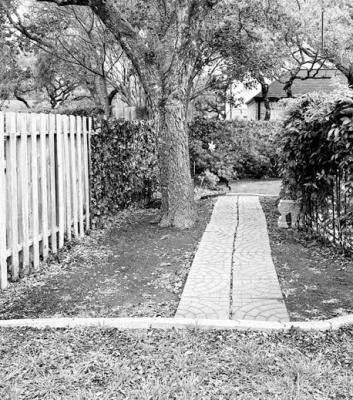 Adding river rock instead of pavers or bricks is better for tree roots