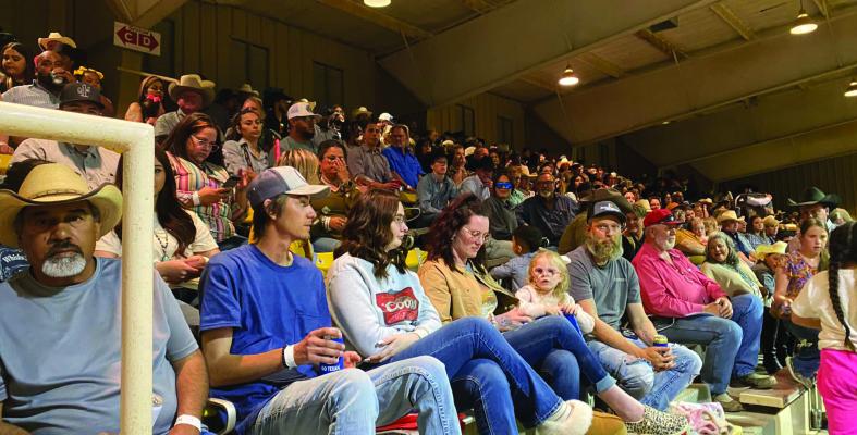 LIVING THE LIFE, ONE RODEO AT A TIME