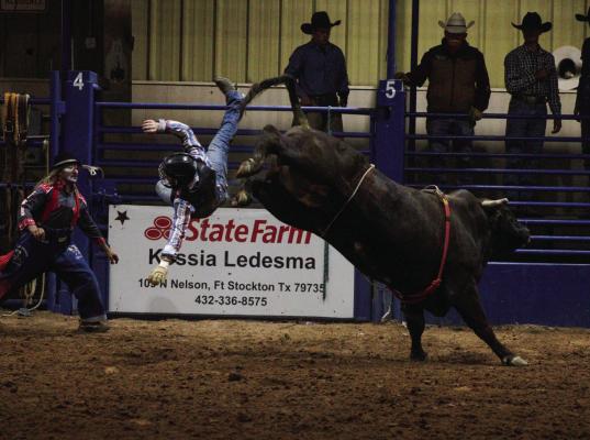Last week, the Comanche Spring Rodeo delighted visitors once again. In what has become a local and national tradition, the rodeo has grown exponentially since its birth six years ago. Photo by Tristian Barragan