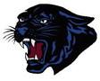 	Fort Stockton cross country runs in Crane