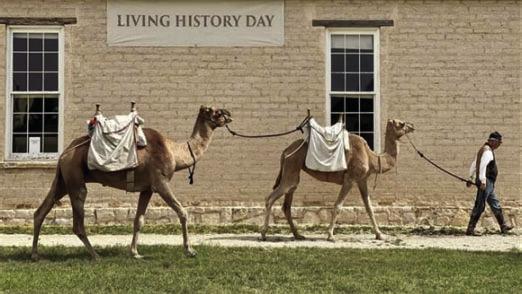 Doug Baum and the Texas Camel Corps will be wondering around the Historic Fort Stockton for the Fort’s “Living History Day.” Courtesy Photo