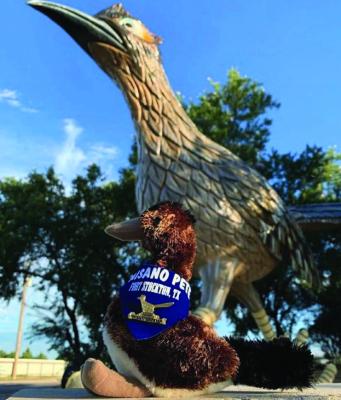 Families are invited to attend Thursday’s featured program, “All About Paisano Pete,” presented by Brenda De La O, Marketing &amp; Sales Coordinator for the Fort Stockton Convention &amp; Visitors Bureau. Courtesy Photo