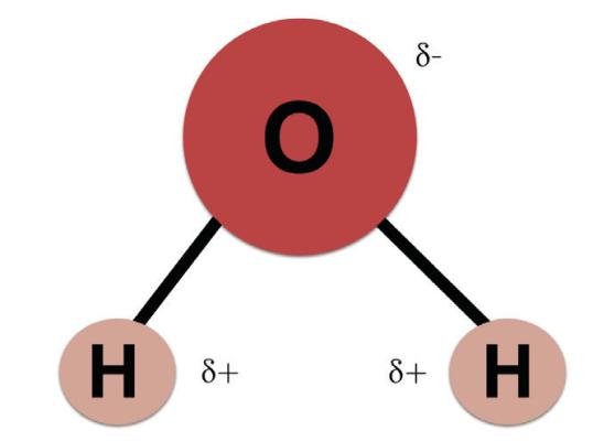 Depiction of a water molecule. Courtesy photo