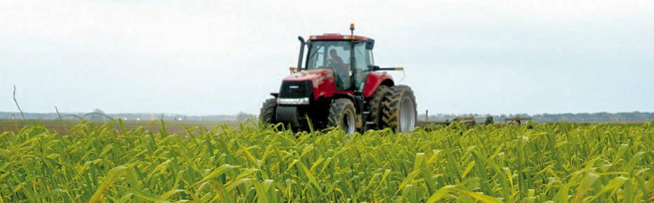 Agriculture operators are reminded to renew their Agricultural and Timber Exemption tax numbers prior to Dec. 31. Texas A&amp;M AgriLife photo