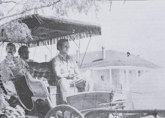 June 1984-First Tour-Driver Donnie Salvato (holding reins) takes Chamber of Commerce President Mike Dunagan