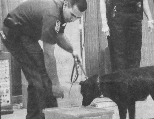 April 2009: DRUG SEARCH – Carlos Ramirez of the U.S. Customs and Border Protection Border Patrol, and Erica,a drug-sniffing dog in training, attempt to find a drug sample in a search of several containers during a demonstration April 8 at Fort Stockton Intermediate School. The demonstration helped mark National DARE Day.