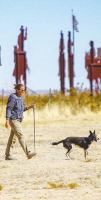 Fort Stockton hosts Texas Sheep Dog Association trial event