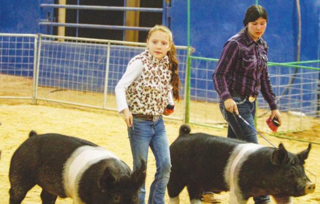 PECOS COUNTY LIVESTOCK SHOW