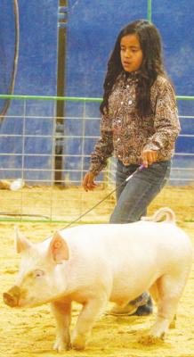 PECOS COUNTY LIVESTOCK SHOW
