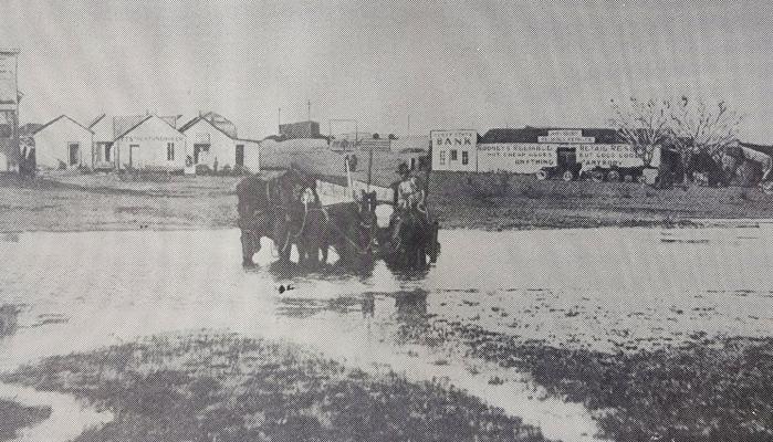 The wagon and team shown in the picture is a freight outfit goods hauled from the railroad to the Rooney Mercantile Company of Fort Stockton, Texas 1921.