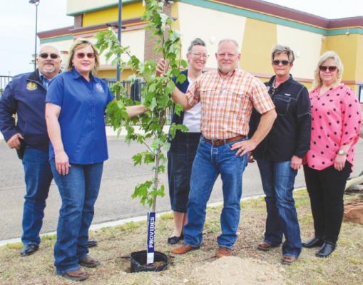 Frank Lacy and his staff have donated and planted a red maple tree to honor victims of crimes in Pecos County on April 26 at the Stockton Plaza. Pictured from left to right: Demetrio Rubio, Wendy Porter, Gloria Waddell, Frank Lacy, Darla Cude, Leslie Elliott. Photo by Nathan Heuer