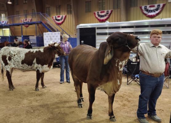 January 16, 2025 — The annual Pecos County Stock Show returned for another successful year full of immense talent that showcased the hard work of the local area’s youth. Photos by Kerry Waldrip