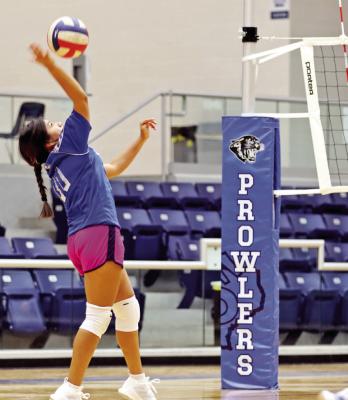 Freshmen volleyball camp has large turnout