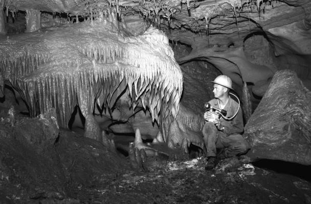TxDot Survey team created a 3D model of the “Inner Space Cavern. Courtesy Photo