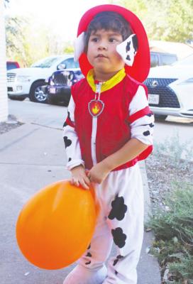Dressed up as the dalmation puppy from the PAW Patrol TV series, the third-place winner was given one of the last pumpkins from the patch for his prize. But, he was more interested in his orange balloon.