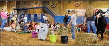 Kids, Kows & More hosts event