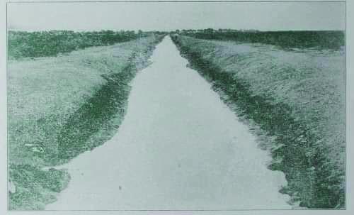 Pictured, the old Garza-Torres irrigation ditch, when it was using water from Comanche Springs. Photo courtesy of Reinato Olivas