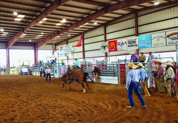 A bronc rider grips the halter rope with his hand and the horse with his legs during the opening bronc riding event at last year’s Big Bend Ranch Rodeo held in Alpine. Bronc riders in this event use an everyday, working western saddle just as they would when breaking a horse on the ranch. Photo by Kara Gerbert