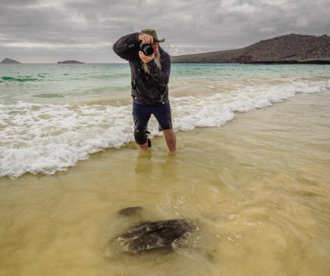 Lee Hoy photographs a sting ray during a trip to the Galapagos Islands. Photo courtesy of Lee Hoy
