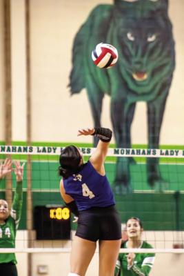 Before the strike — Jocelynn Arcides moves to pummel the ball over the net in Tuesday’s exciting match. Courtesy Photo