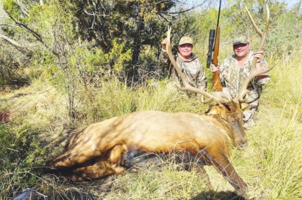 Local snags massive elk