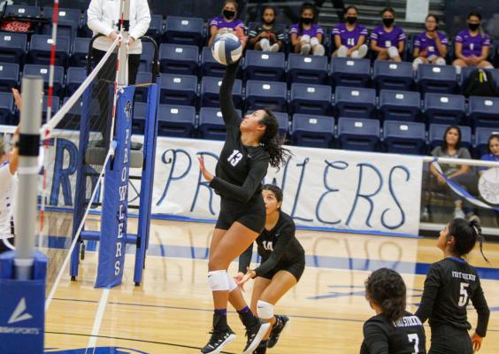 Senior Alyana Dominguez goes up for a kill during the Prowlers victory against Balmorhea on Aug. 27.
