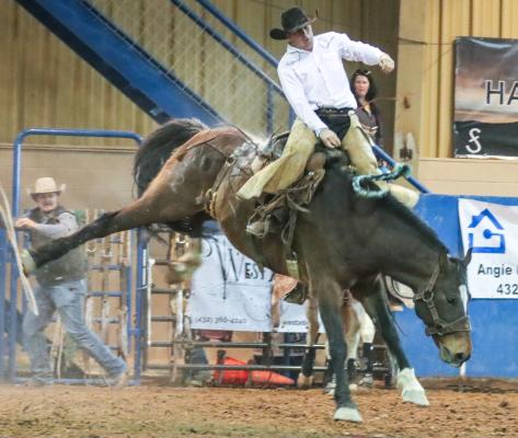 rodeo