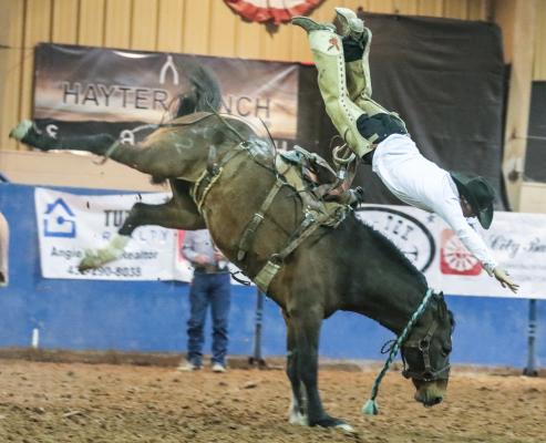 Rodeo