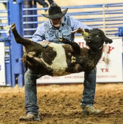 Rodeo