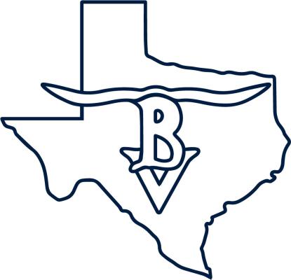 Buena Vista Logo