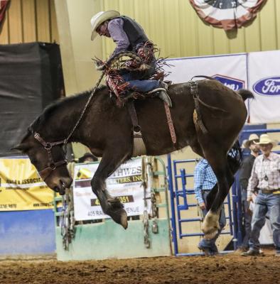 Rodeo