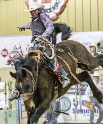 Rodeo