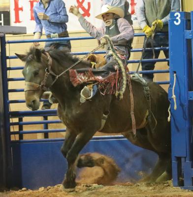 Rodeo