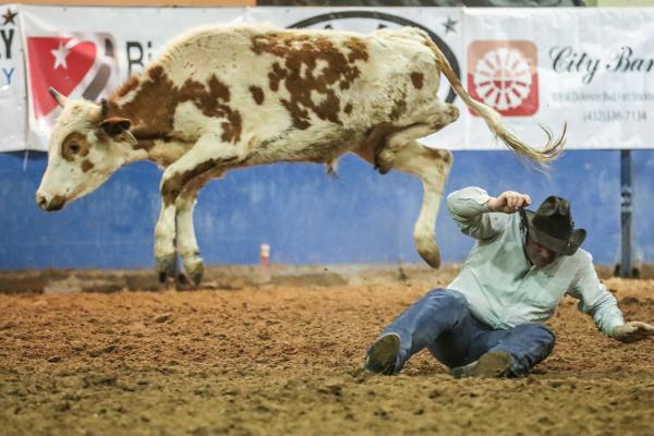 Rodeo