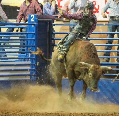 Rodeo