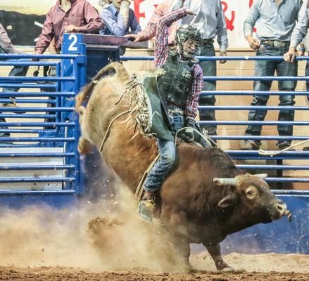 Rodeo